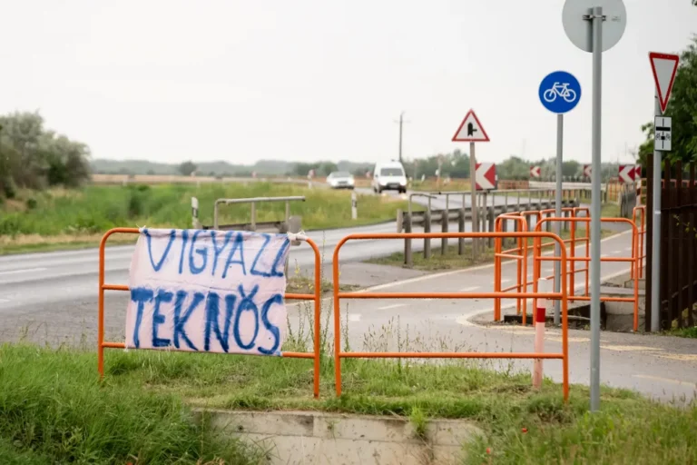 A faj fennmaradását is veszélyeztetheti a tömeges teknősgázolás Szeged mellett