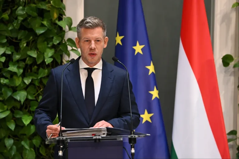 Rendkívüli sajtótájékoztatón mutatta be Magyar Péter az Orbán-kormány titkos terveit a vitnyédi migránstáborról