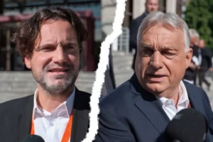 Nem tudom, mi a különbség a kullancsok és az emberek között