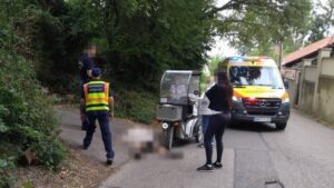 Kutya támadt rá egy postásra Óbudán, a férfi összeesett