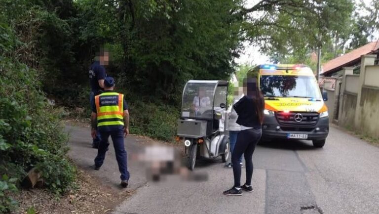 Kutya támadt rá egy postásra Óbudán, a férfi összeesett