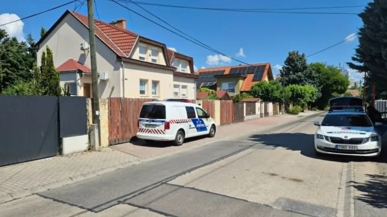 Emberölés Óbudán: folytatódott a helyszínelés, rendőrkutyát is bevetettek