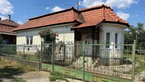 Megszólaltak az óbudai kannibál ismerősei: Mindig is egyértelmű volt, hogy valami nincs rendben a fejében
