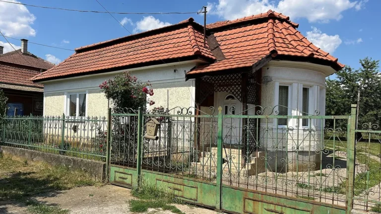 Megszólaltak az óbudai kannibál ismerősei: Mindig is egyértelmű volt, hogy valami nincs rendben a fejében