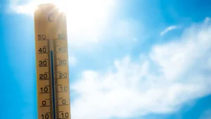 Olyan durva kánikula jön, hogy az már a génjeinket is összezavarja