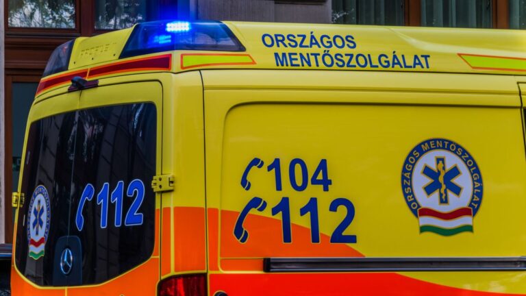 Félbeszakadt a Budapest Park koncertje: a fellépés közben kellett újraéleszteni a Loophia énekesnőjét