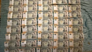 Lecsapott a balatoni halőrség: elképesztő mennyiségű bírságot szabtak ki