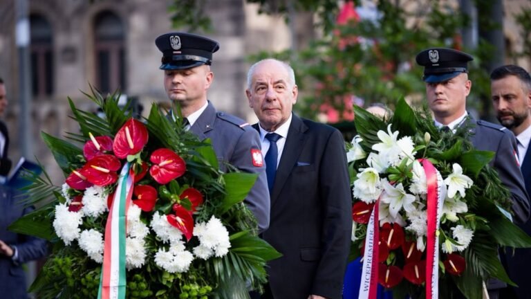Sulyok Tamás: Poznan a mi 1956-unk előzménye