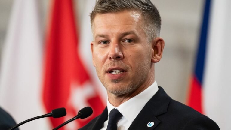 Magyar Péter hét főispánt nevezett ki