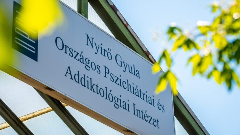 Miniszteri biztost nevez ki Hegedűs Zsolt a pszichiátriai ellátás fejlesztésére