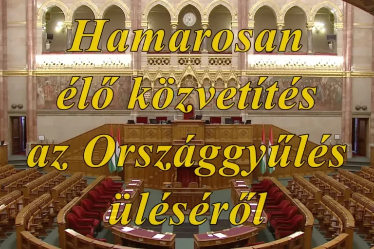 A nyár YouTube-slágere: a parlamenti élő közvetítés