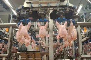 A vendégmunkásvita a magyar ipar egyik érzékeny pontját találta el