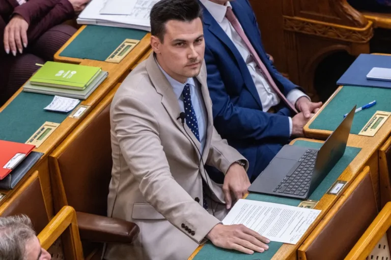 A fideszes Szűcs Gábor egyszerre öt állással is elbírt, de életrajzot írni még nem volt ideje