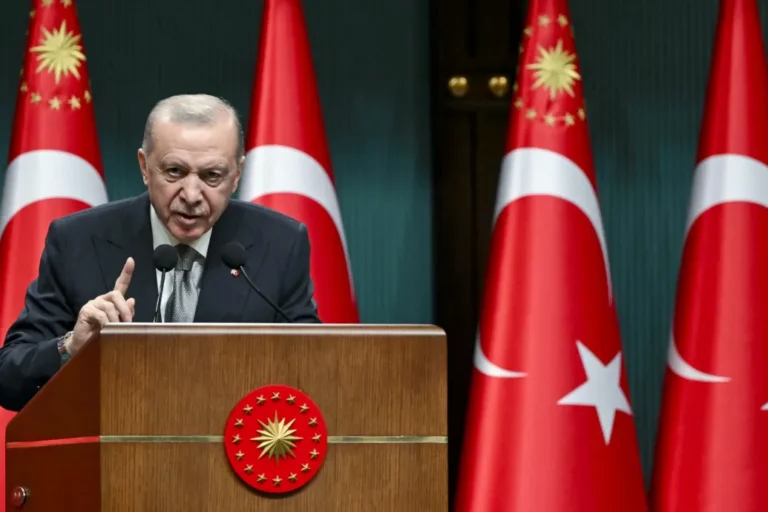 Arte: Europe turns a blind eye to Erdoğan's authoritarian moves in exchange for a helping hand