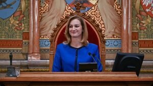 A Tiszának még nincsen jelöltje a köztársasági elnöki posztra, de nagyon keresi