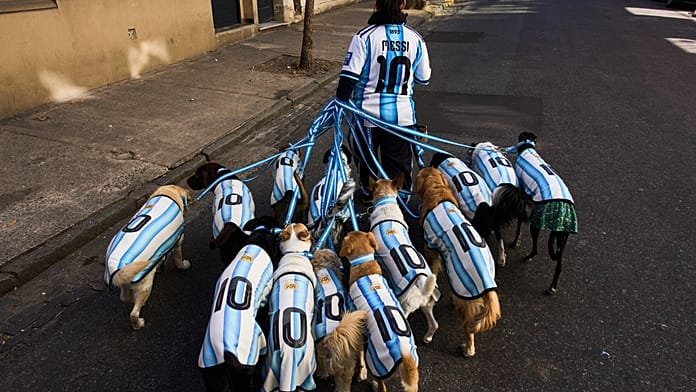 VB-láz Buenos Airesban: argentin mezbe öltöznek a kutyák