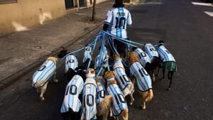 VB-láz Buenos Airesban: argentin mezbe öltöznek a kutyák