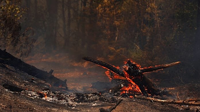 Ezreket evakuálnak a délnyugat-franciaországi erdőtűz miatt