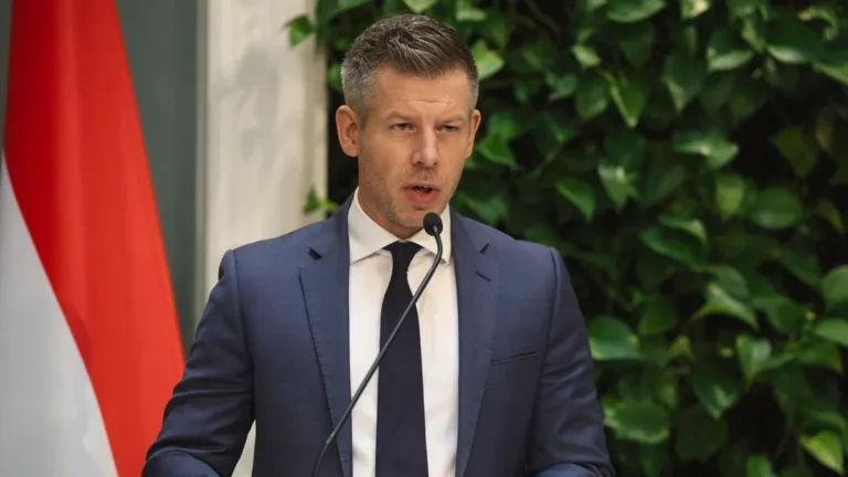 Magyar Péter: Megszűnik Sulyok Tamás megbízatása