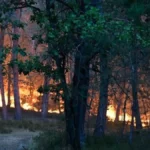 Tűz pusztított Párizs közelében: egy önkéntes tűzoltó is a gyanúsítottak között van