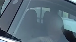 Videón, ahogyan a rendőrök mentenek ki egy Teslába ragadt idős nőt