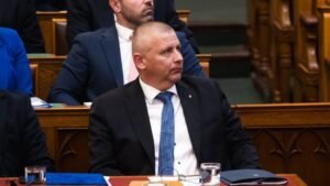 A Kehi kérésére adták ki a Ruszin-Szendi zsírleszívásával kapcsolatos érzékeny információkat