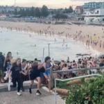 Pénzért vásárolja vissza a fegyvereket egy ausztrál állam a Bondi Beach-en történt terrortámadás után