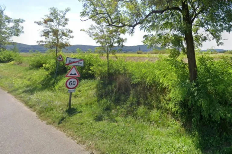 A Belügyminisztérium vizsgálatot ígér a Szalonnára költöztetett szlovákiai roma családok ügyében