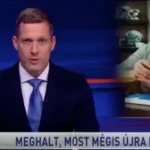 Tények helyett bűntények: késes őrjöngő kergette a halálba, kattant a bilincs – megnéztük a TV2 új Híradóját
