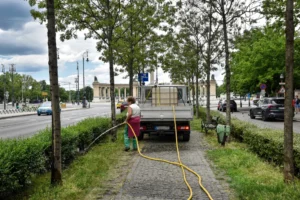 A főváros szerint túllépett a hatáskörén a minisztérium, amikor be akarták tiltani a parkok locsolását