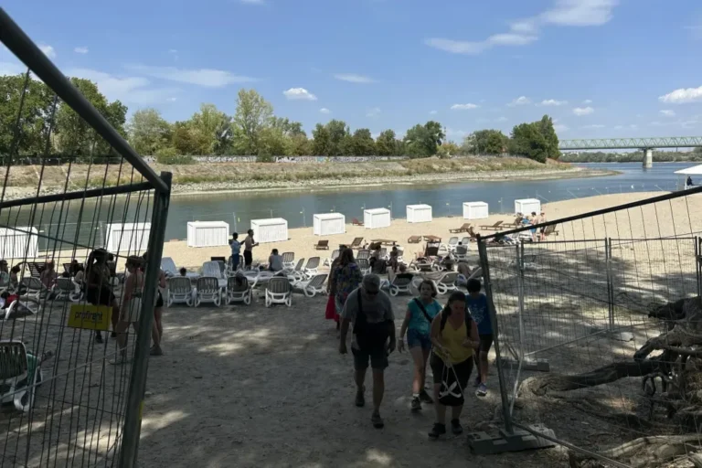 Az Óbudai Gázgyár rákkeltő anyagokkal szennyezett partszakaszával szemben alakították ki a Sziget strandját, de a fesztiválozók nem mehetnek bele a vízbe