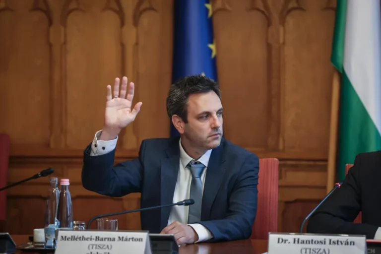 Egyedül a tiszás Melléthei-Barna Márton szavazott nemmel Unger Anna jelölésére a vagyonvisszaszerzési hivatal élére