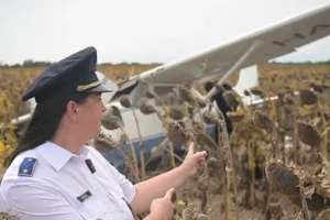 Videón mutatta meg a rendőrség az ellopott kisgépet, ami egy napraforgótáblában landolt
