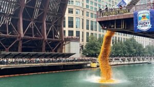 90 ezer gumikacsa versenyez a Chicago folyón jótékonysági célból