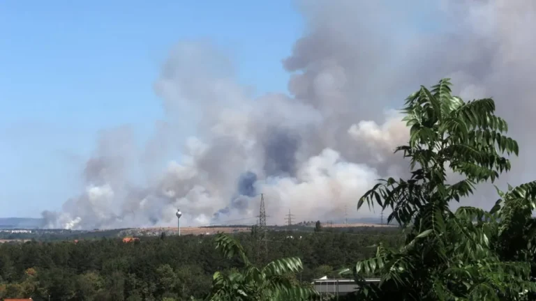 Óriási avartűz miatt bénult meg a közlekedés Veszprém környékén, lezárták a 8-as főutat – videó