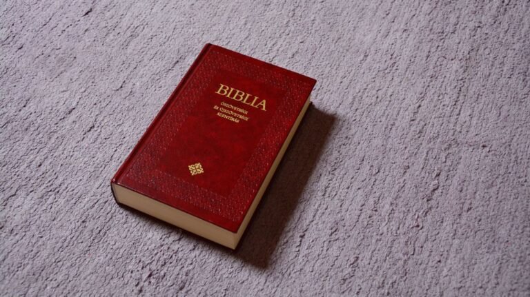 Nemzetközi biblikus konferenciát tartanak Szegeden