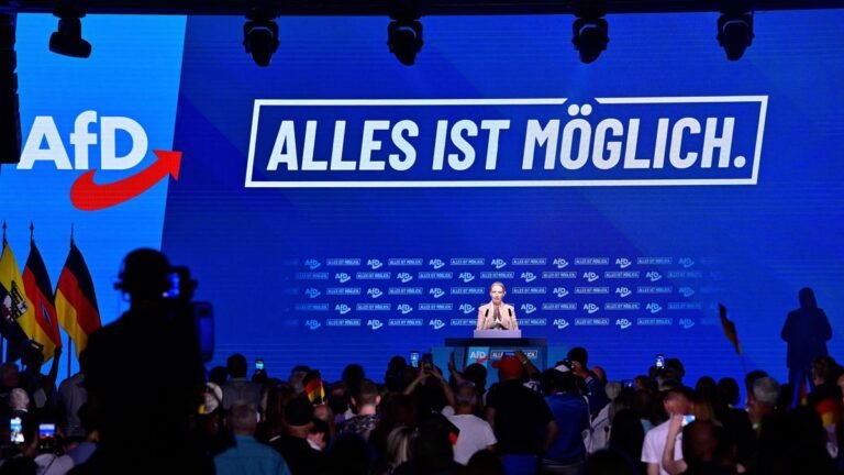 Alice Weidel: Demokrácia elleni botrány