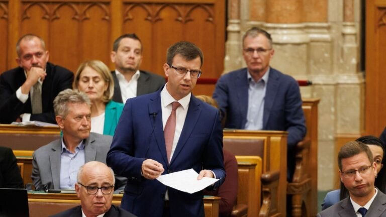 Bóka János: Baka András hozzájárul Magyar Péter önkényének kiépítéséhez