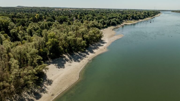 Azt hitték a barátai, hogy elmerült a Dunában, miközben ő már rég hazament