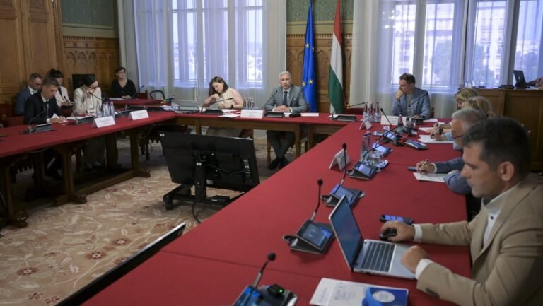 MNB-botrány: Megtette az első lépést a parlamenti vizsgálóbizottság