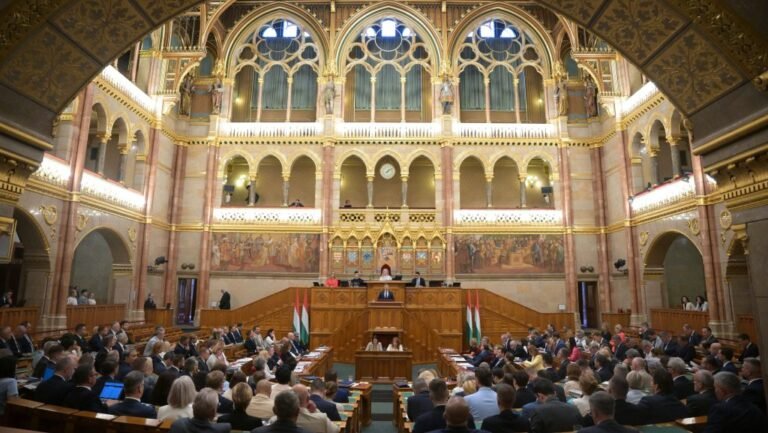 Lannert Judit: Önök lopták el azt a pénzt, ami most hiányzik a szegény gyerekek zsebéből