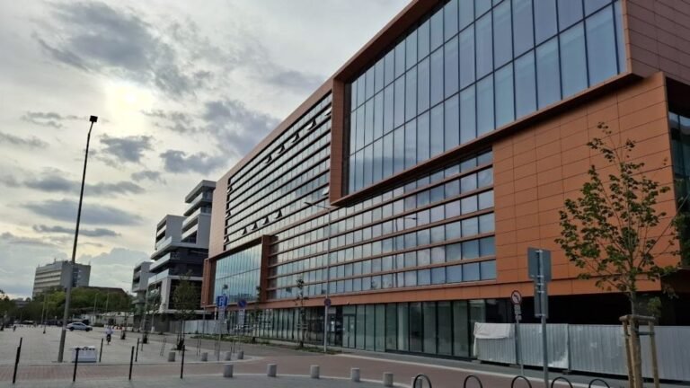 Csődeljárást kezdeményezett maga ellen a Bayer Construct