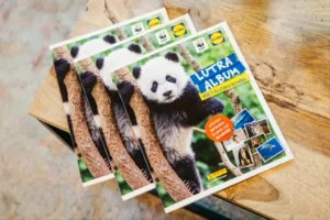 Emlékszel a Lutra albumra? Már mai gyerekek is gyűjthetik a matricákat!