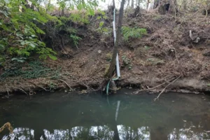 Rögtön elkezdték lopni a vizet egy mátrai patakból, ahogy esett egy kis eső