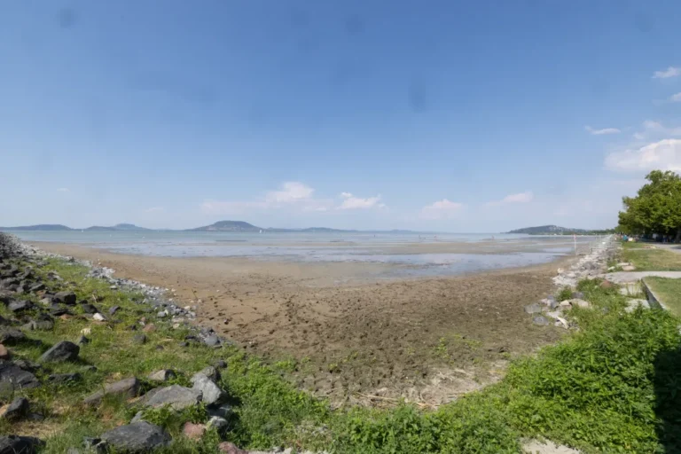 A Balaton-part egyre gyorsabb beépítése elleni tiltakozáshoz csatlakoztak a kutatók