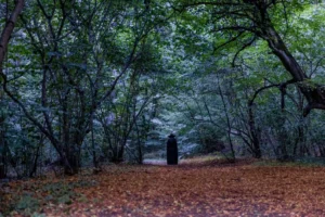 Ufóészlelésekre vezethető vissza a kolozsvári Hója-erdő paranormális turisztikai népszerűsége