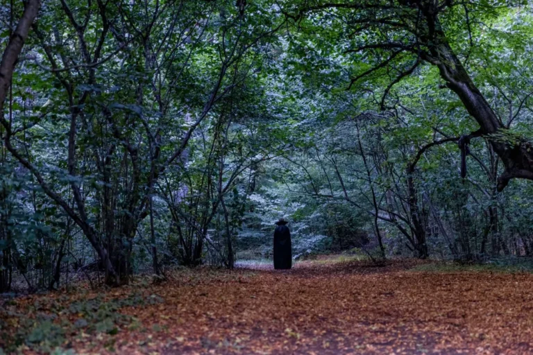 Ufóészlelésekre vezethető vissza a kolozsvári Hója-erdő paranormális turisztikai népszerűsége