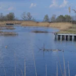 Hallerné Nagy Anikó szerint a NER nemcsak a strandolóktól vette el a Fertő tavat, hanem a helyi vállalkozóktól a megélhetésüket is