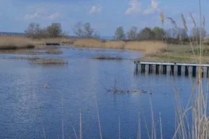 Hallerné Nagy Anikó szerint a NER nemcsak a strandolóktól vette el a Fertő tavat, hanem a helyi vállalkozóktól a megélhetésüket is