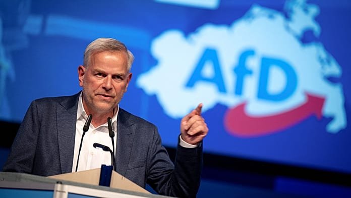 Gazdasági együttműködést ajánlott az AfD-nek a Kreml